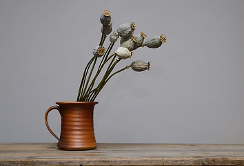 Image showing dried poppy seed heads in a ceramic vase