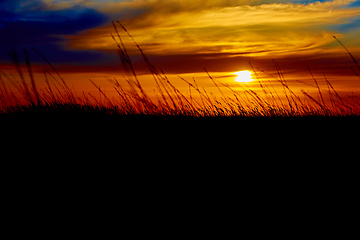 Image showing Sunset in the steppe.