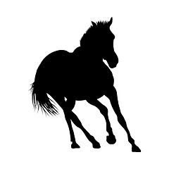 Image showing Horse Silhouette