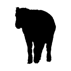 Image showing Bison Silhouette