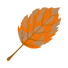 Image showing Autumn Birch Leaf