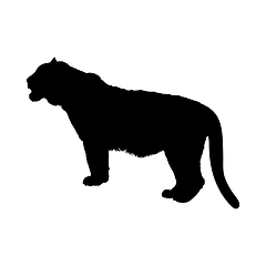 Image showing Tiger Silhouette