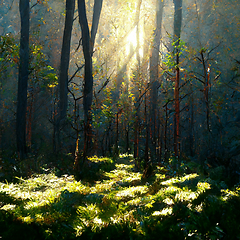 Image showing Beautiful sunny morning in magic forest. Forest in the morning i