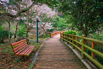 Image showing Jeju Olle Trail, Jeju Island, South Korea