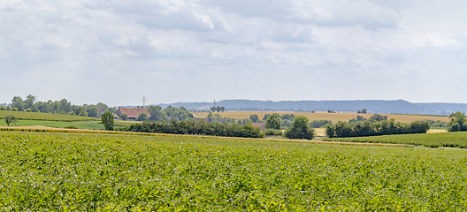 Image showing agricultural scenery in Hohenlohe