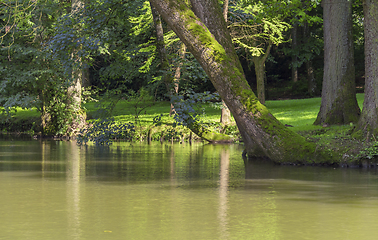 Image showing idyllic park scenery