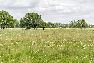 Image showing rural scenery in Hohenlohe