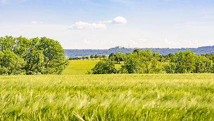 Image showing rural landscape at spring time