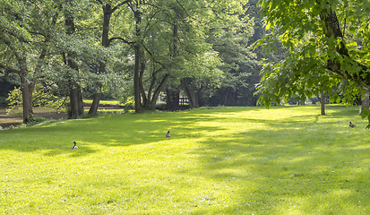 Image showing idyllic park scenery