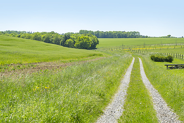 Image showing idyllic rural scenery