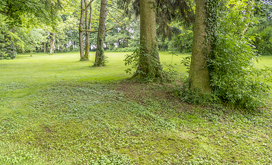 Image showing idyllic park scenery