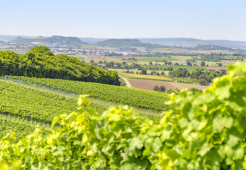 Image showing winegrowing scenery in Hohenlohe