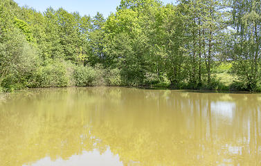 Image showing sunny lake scenery