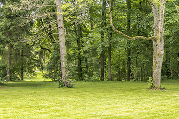 Image showing idyllic park scenery