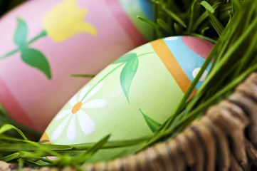 Image showing Easter eggs with green grass