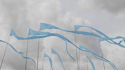 Image showing Blue flags fluttering in the wind, against a background of green grass
