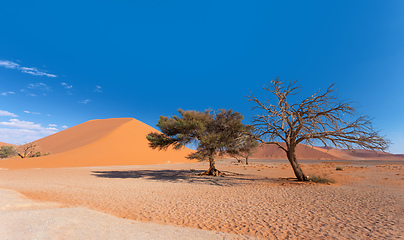 Image showing Dune 45 in Sossusvlei, Namibia desert