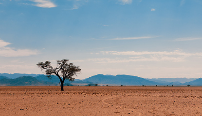 Image showing Namib desert, Namibia Africa landscape