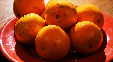 Image showing Oranges