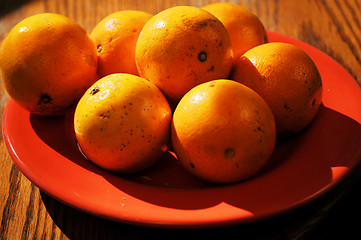 Image showing Oranges on a plate