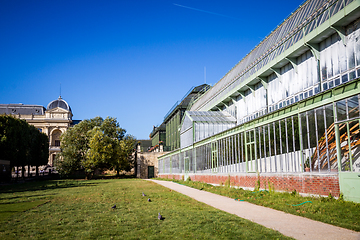 Image showing Greenhouse in Jardin Des Plantes botanical garden, Paris, France