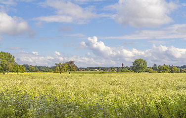 Image showing rural scenery in Hohenlohe