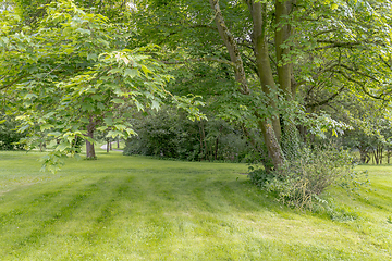 Image showing idyllic park scenery