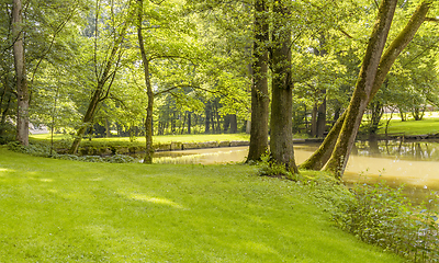 Image showing idyllic park scenery