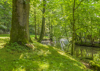 Image showing idyllic park scenery