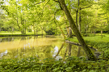 Image showing idyllic park scenery