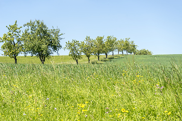 Image showing idyllic spring time scenery