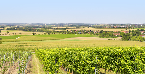 Image showing winegrowing scenery in Hohenlohe