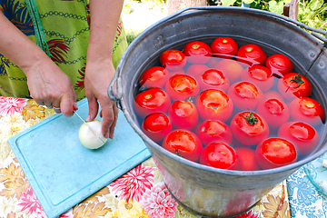 Image showing woman slices horseradish for preservation of tomatoes