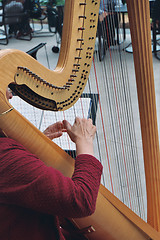 Image showing Hands on a harp