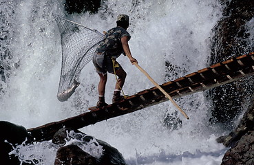 Image showing Salmon Fishing