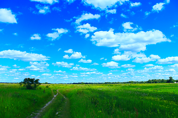 Image showing Country road in the summer field with white clouds