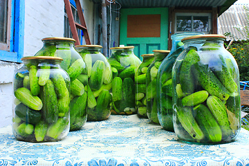 Image showing Cucumbers in the jars prepared for preservation