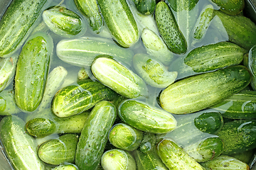 Image showing cucumbers soaked for conservation