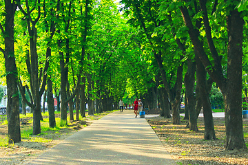 Image showing People have a rest in park with big trees