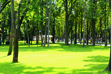 Image showing footpath in the park with big trees