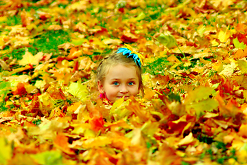 Image showing little girl hide herself in yellow leaves in the park