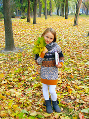 Image showing little girl with yellow leaves and book in the park