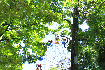 Image showing ferris wheel in the park with trees