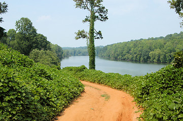 Image showing Along the river