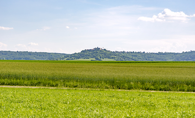 Image showing rural landscape at spring time