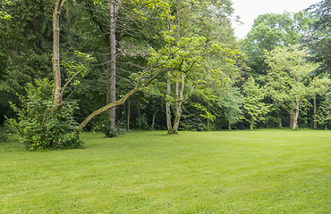 Image showing idyllic park scenery