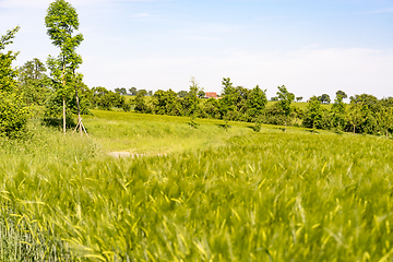 Image showing rural landscape at spring time