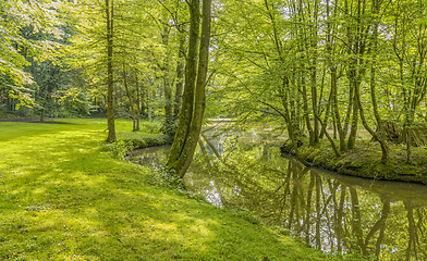 Image showing idyllic park scenery