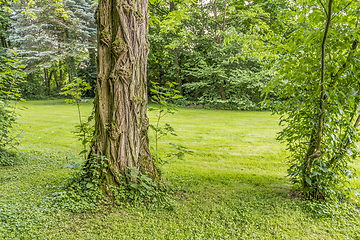 Image showing idyllic park scenery