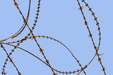 Image showing barbed wire detail